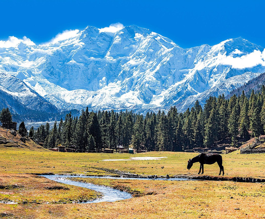 Skardu Trekkers adventure tour agency.