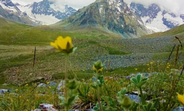 Barah broq Trek view point lusg green land
