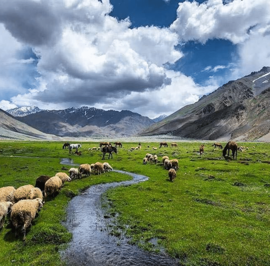 Deosai National Park Tour 2024-25 | Skardu Trekkers