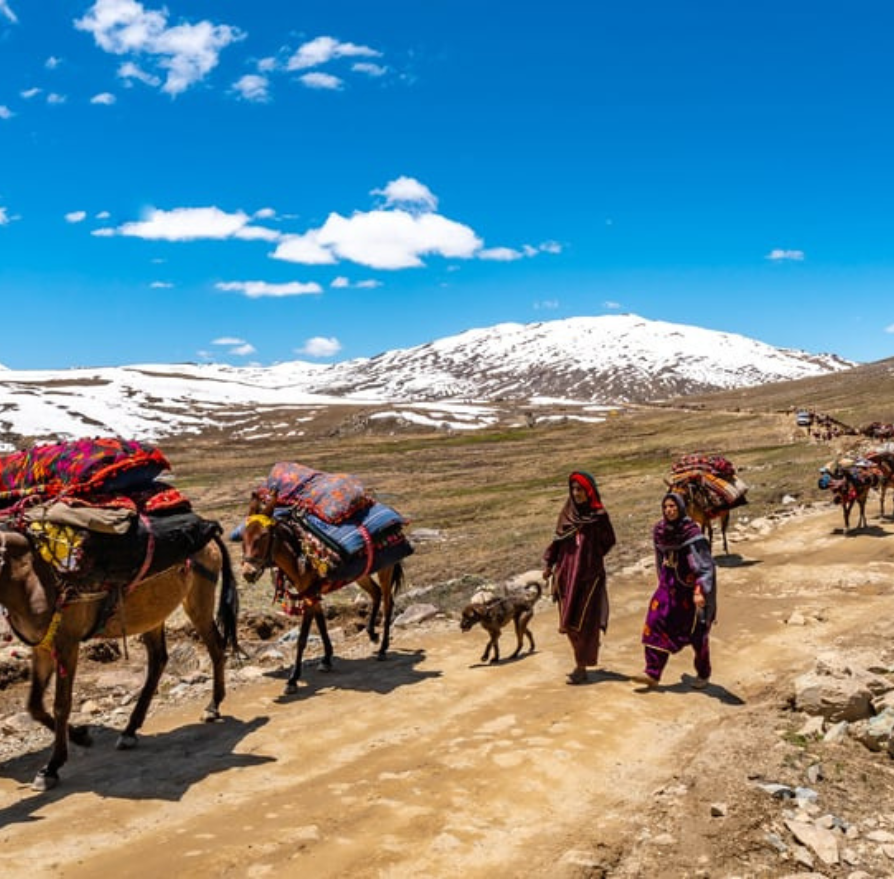 Deosai National Park02