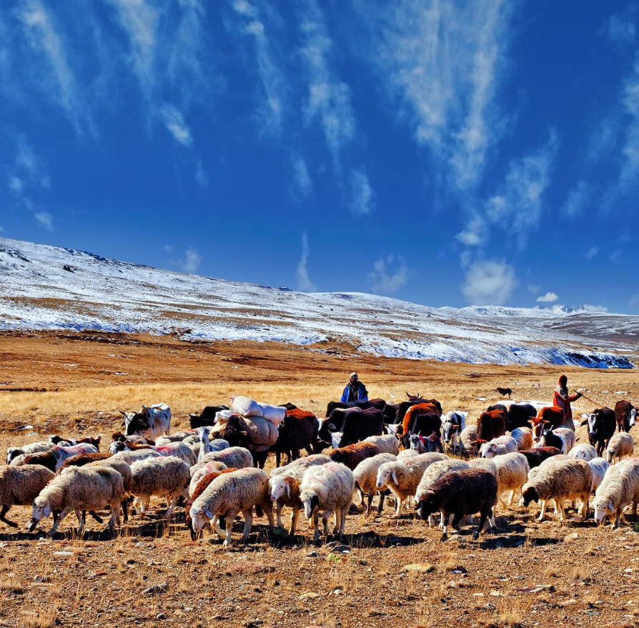 Deosai National Park03