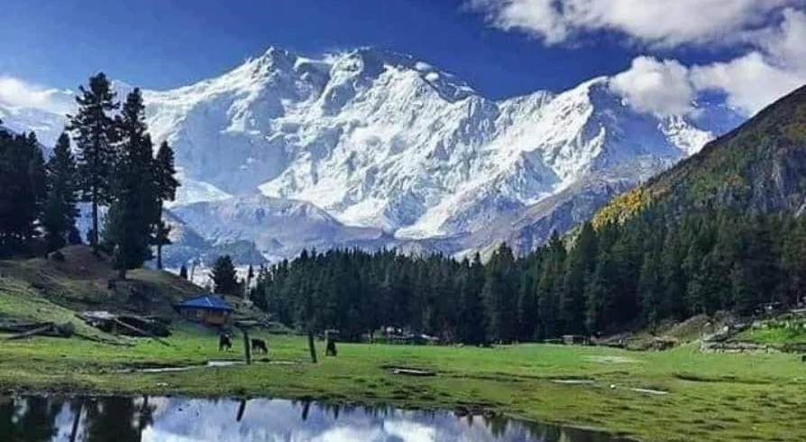 Nanga Parbat Fairy Meadows