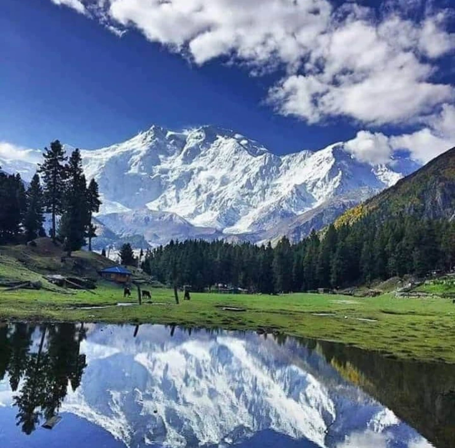 Nanga Parbat Fairy Meadows