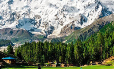 Fairymeadows