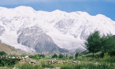 Rupal peak with green meadows