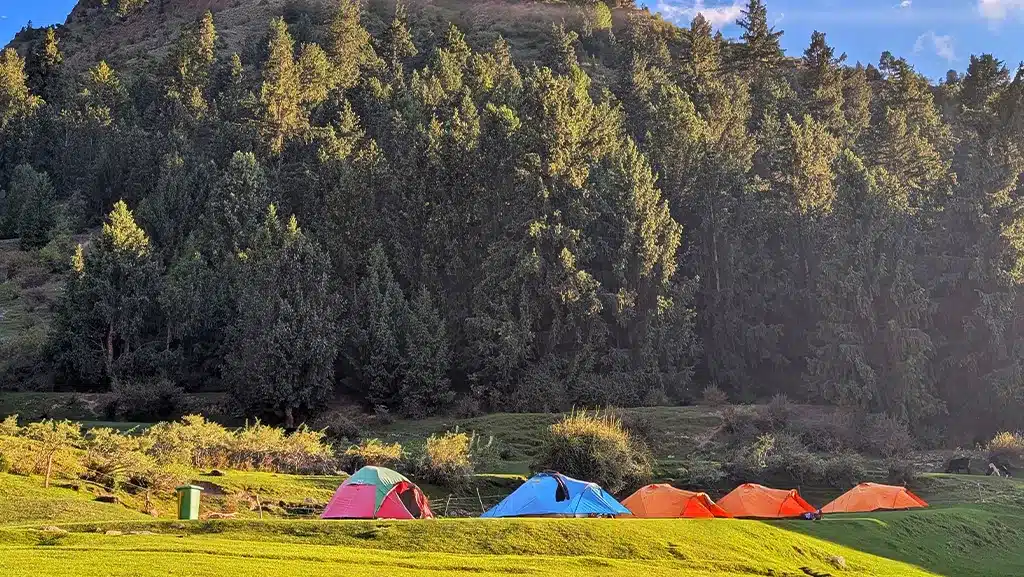 skardu trekkers camping at hapakun meadows on the way to rakaposhi basecamp.