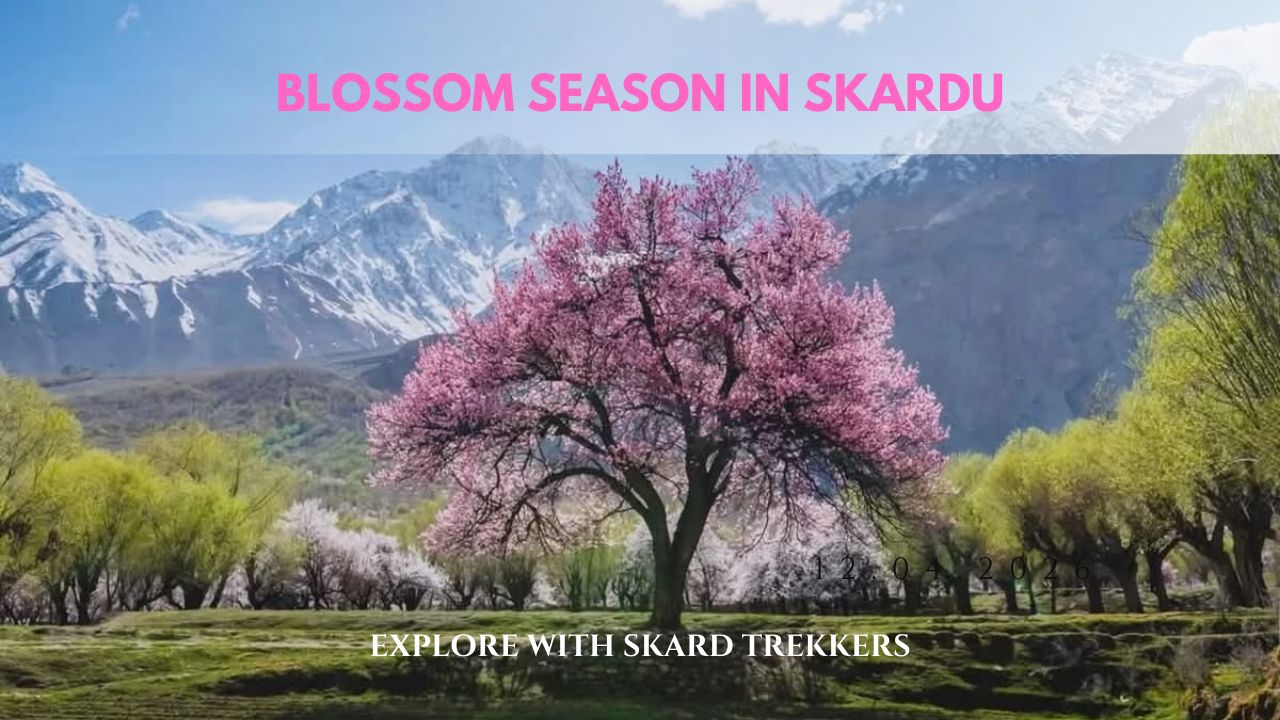 Blossom Season in skardu