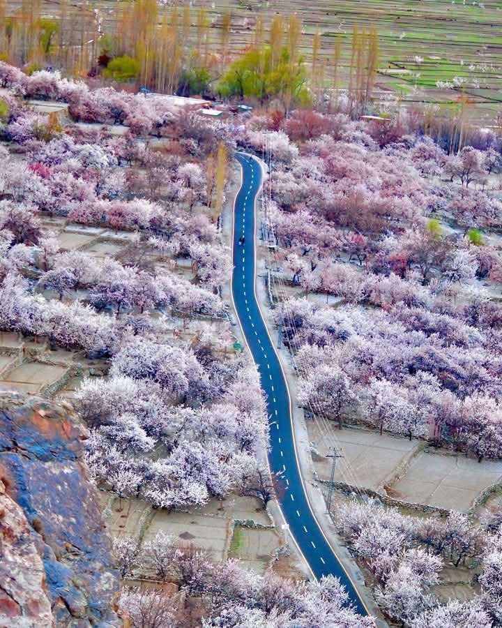 barah valley