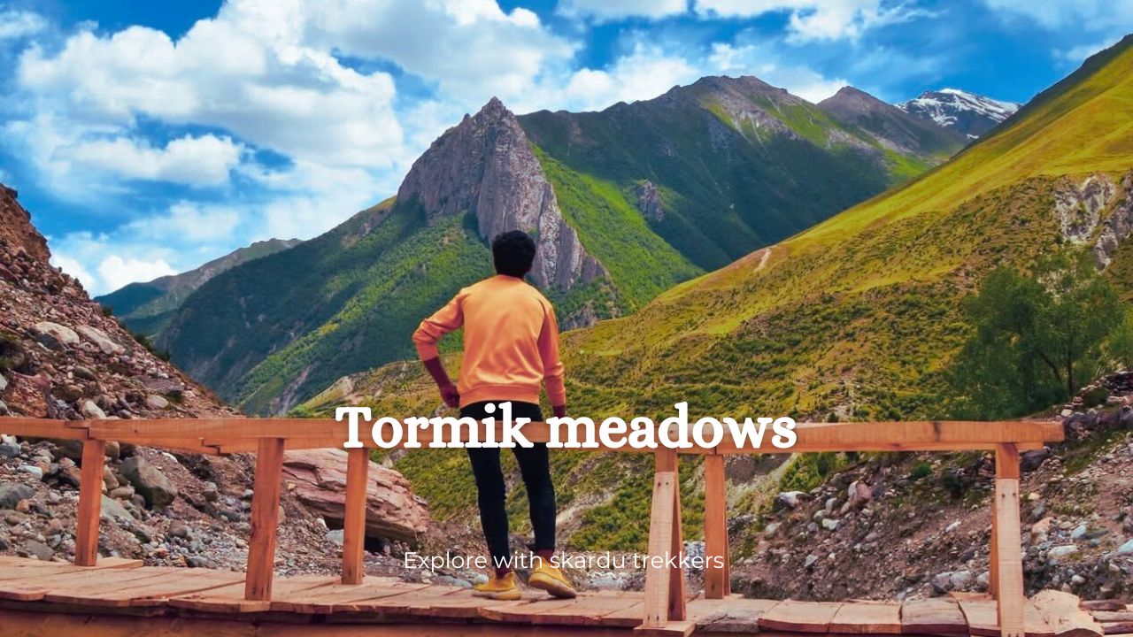 tormik meadows