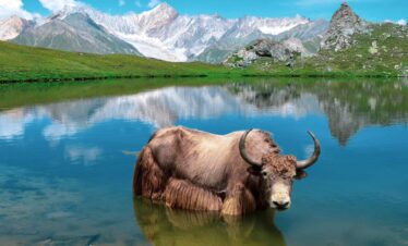 Blue lake barah broq trek