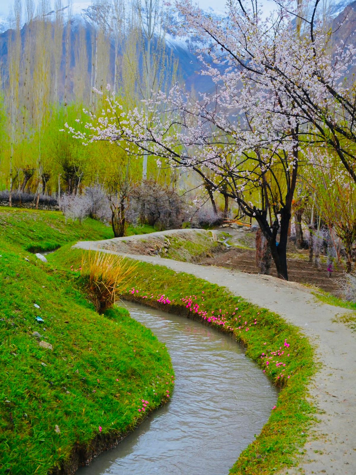 yasin valley