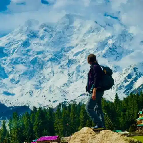 Nanga parbat base camp trek 2026