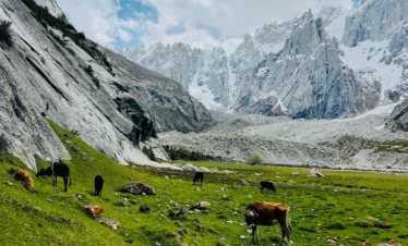 Trekker crossing snowy Thallay La Pass at 4,800 meters with panoramic Karakoram peaks in the background.