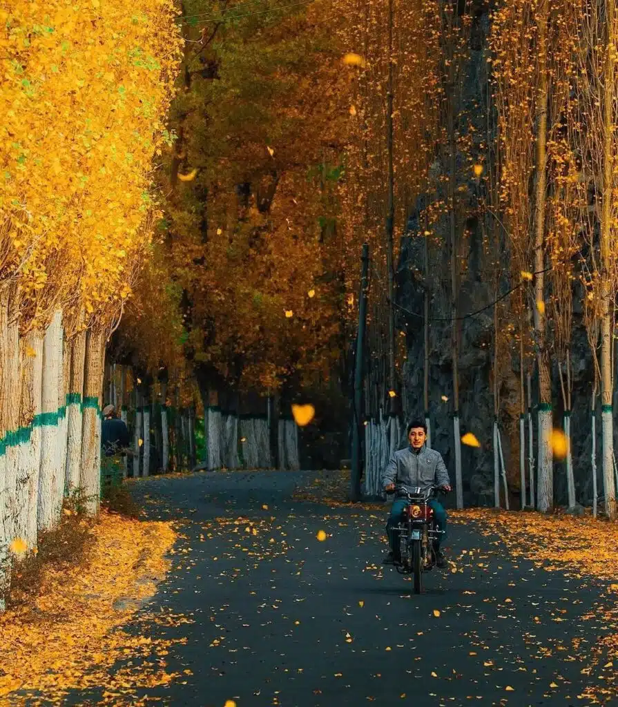 Beautiful autumn landscape in northern Pakistan featuring yellow, orange, and red foliage