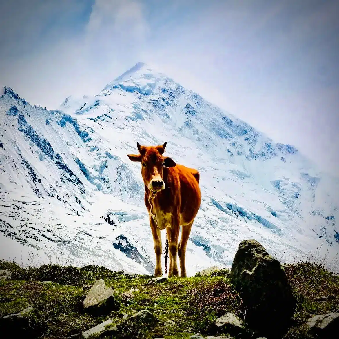 Rakaposhi base camp trek route from Minapin Pakistan