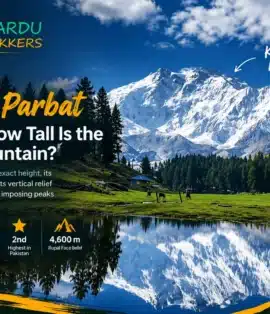 Nanga Parbat height 8,126 m (26,660 ft) with snow-covered peak, alpine meadow, and lake reflection
