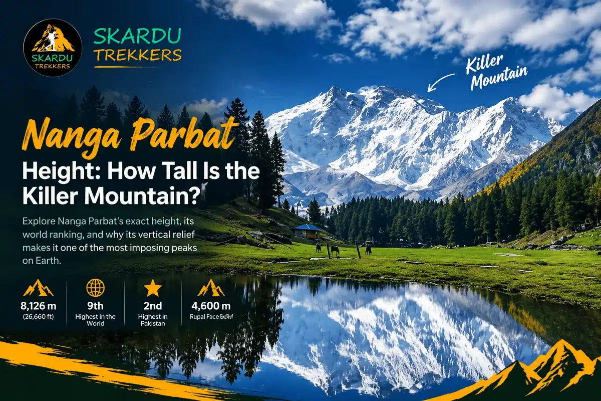 Nanga Parbat height 8,126 m (26,660 ft) with snow-covered peak, alpine meadow, and lake reflection